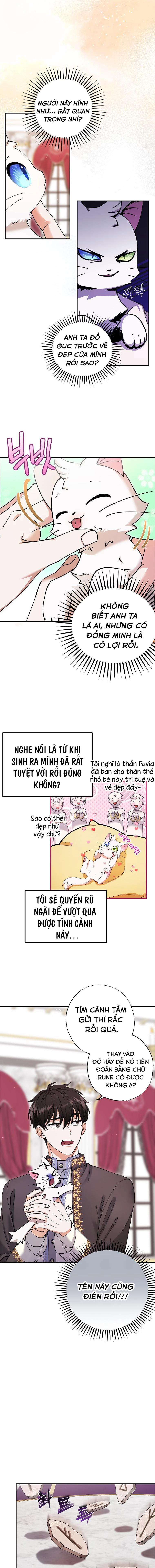 Trở Thành Miêu Nữ Của Hoàng Đế Chapter 1 - Trang 2