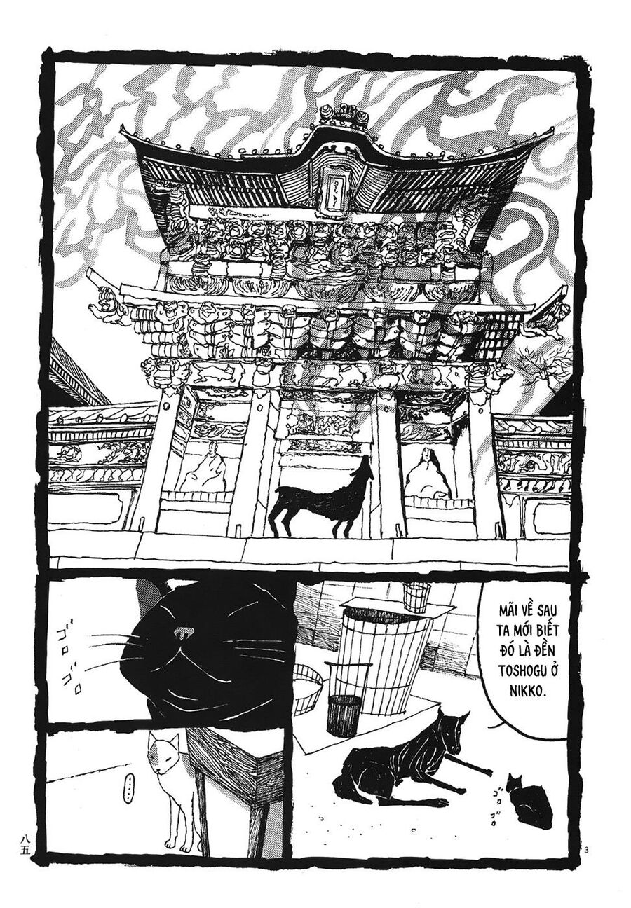 Samurai Kiếm Tre Chapter 35 - Trang 2