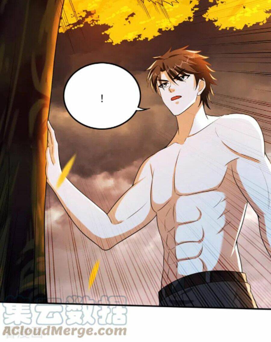 Tối Cường Thần Y Tại Đô Thị Chapter 256 - Trang 2