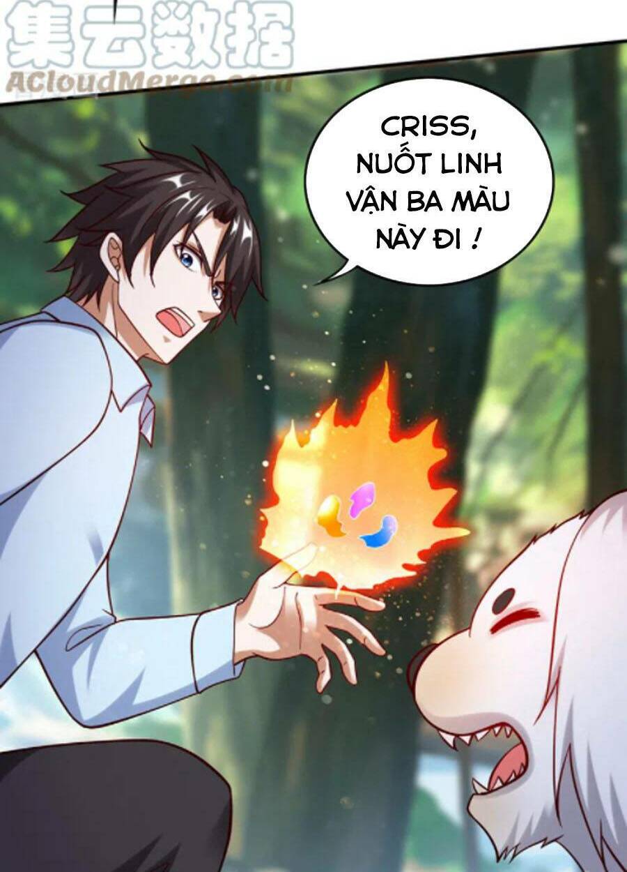 Tối Cường Thần Y Tại Đô Thị Chapter 246 - Trang 2