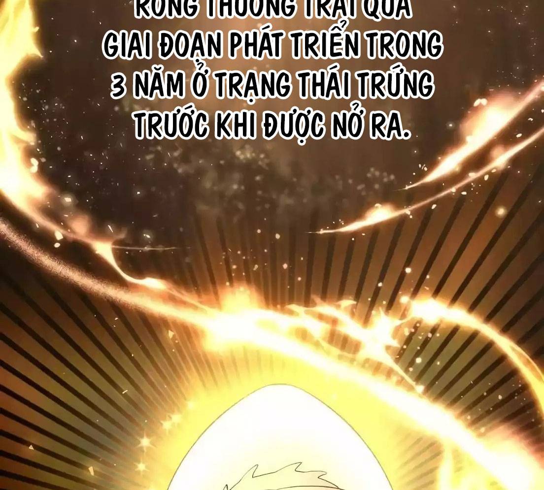 Tạp Hóa Dị Giới Chapter 7 - Trang 2