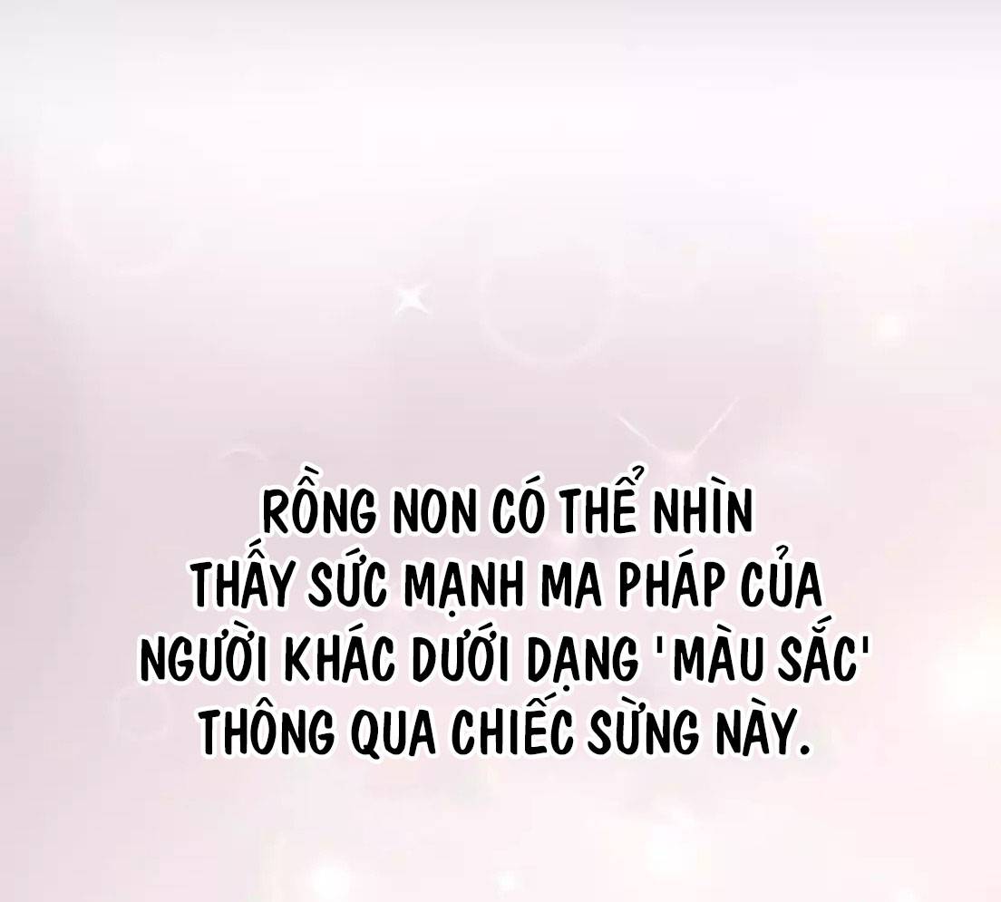 Tạp Hóa Dị Giới Chapter 7 - Trang 2