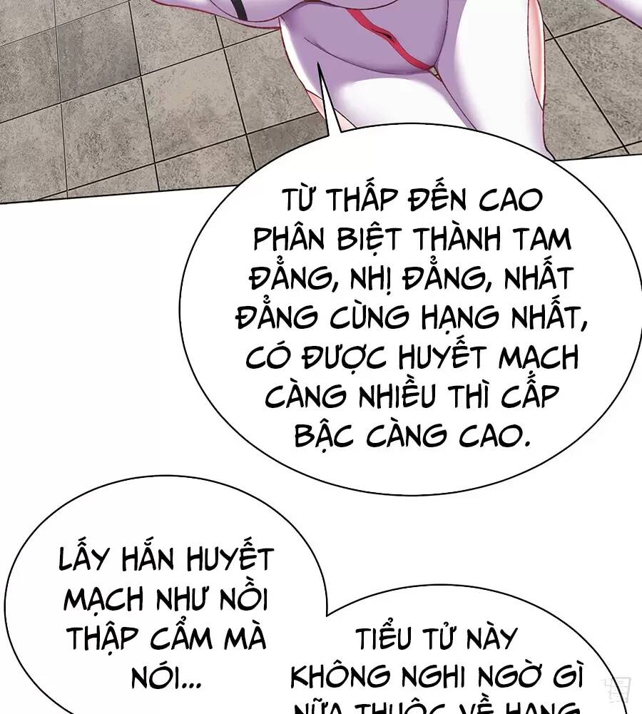 Ta Nhặt Được Thuộc Tính Tại Tu Chân Giới Chapter 213 - Trang 2