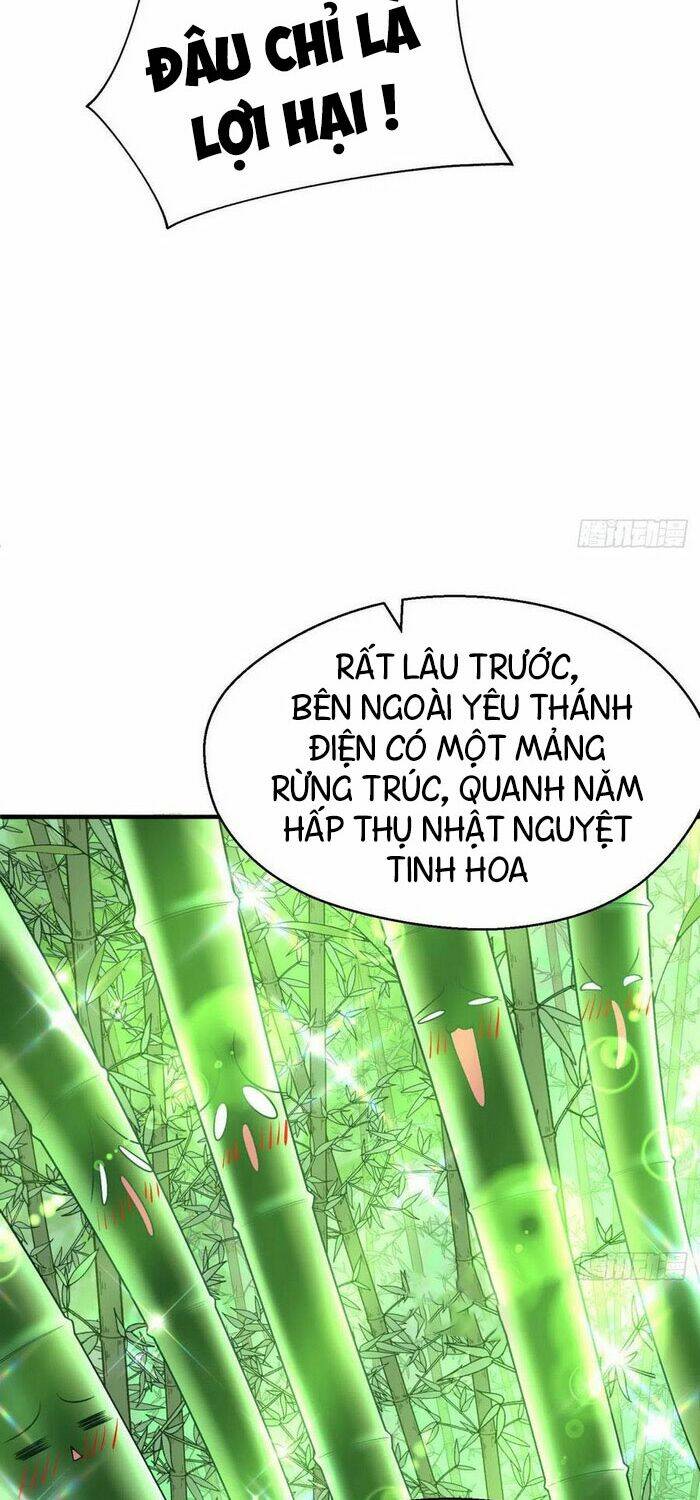 Ta Nhặt Được Thuộc Tính Tại Tu Chân Giới Chapter 95 - Trang 2