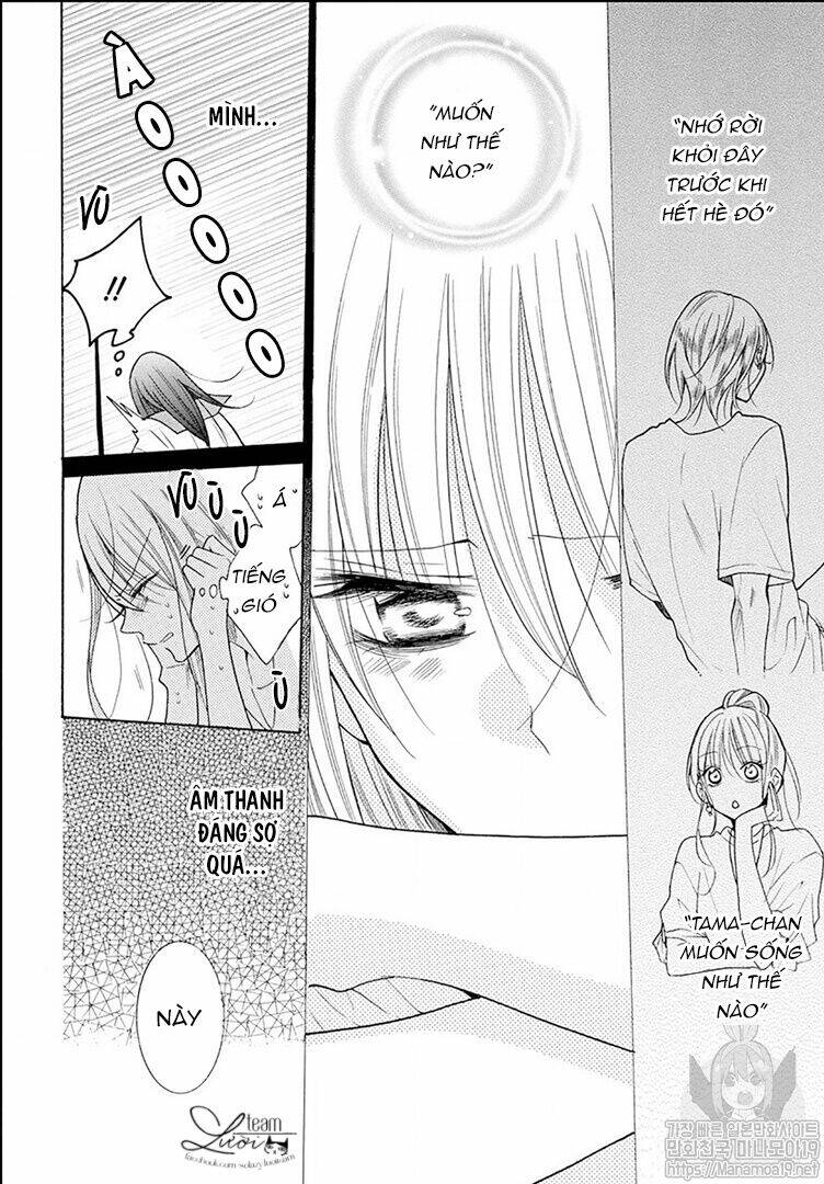 Noraneko To Ookami Chapter 2 - Trang 2