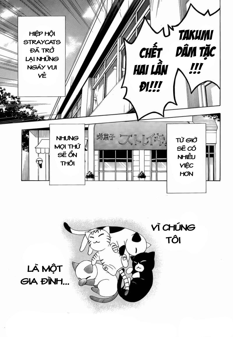 Mayoi Neko Overrun! Chapter 8 - Trang 2