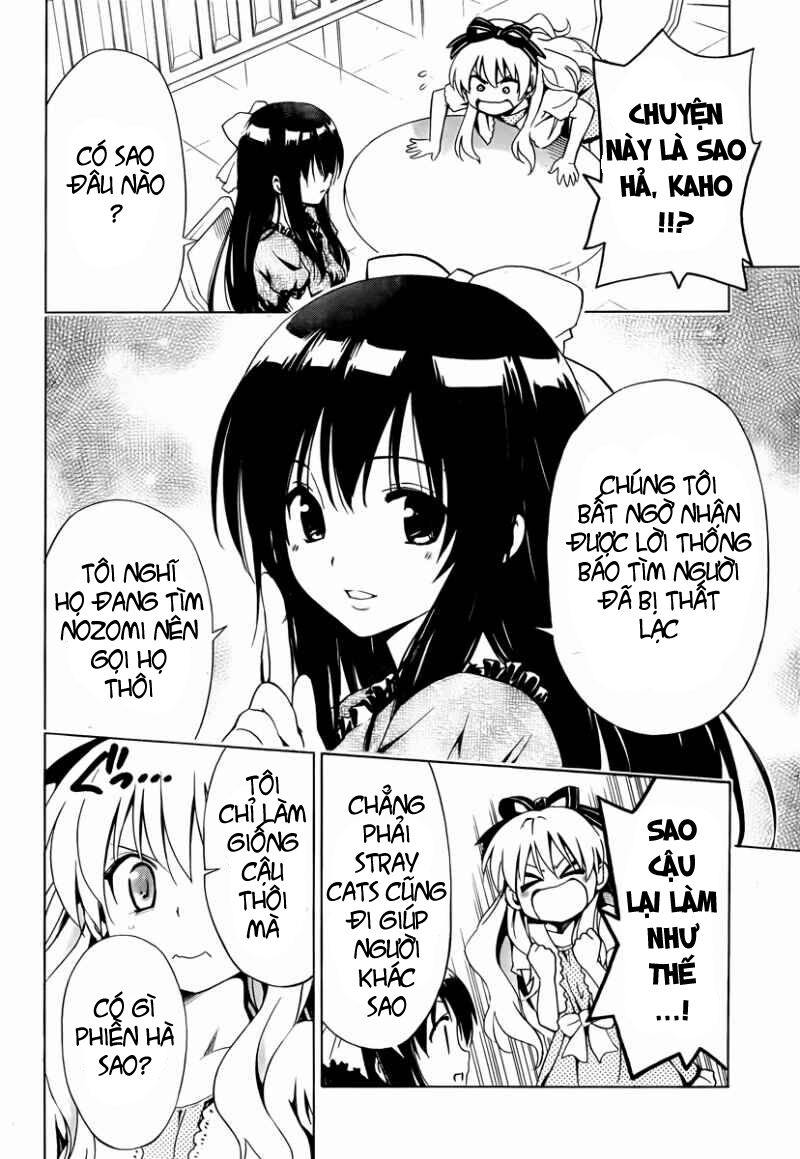 Mayoi Neko Overrun! Chapter 8 - Trang 2