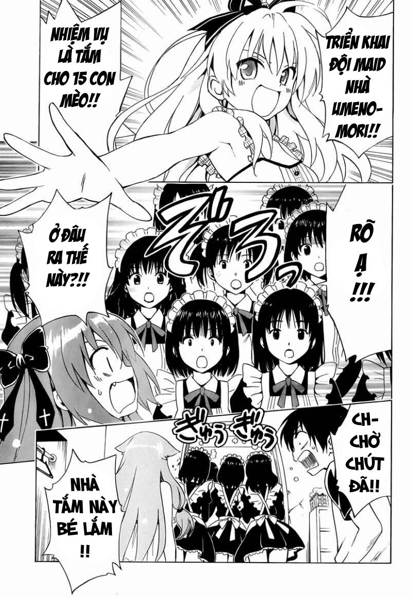 Mayoi Neko Overrun! Chapter 7 - Trang 2