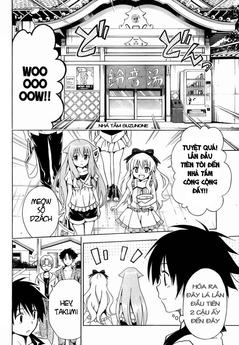 Mayoi Neko Overrun! Chapter 7 - Trang 2