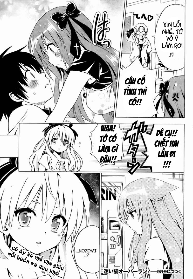 Mayoi Neko Overrun! Chapter 7 - Trang 2