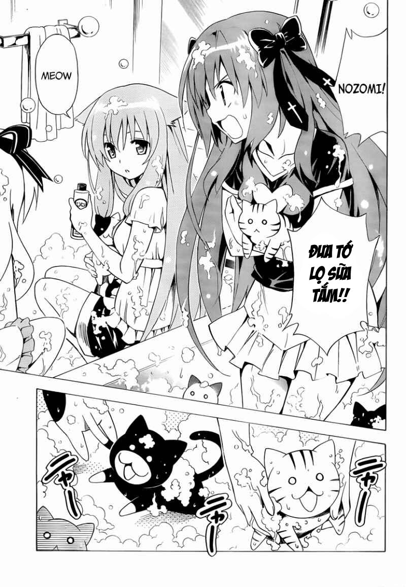 Mayoi Neko Overrun! Chapter 7 - Trang 2