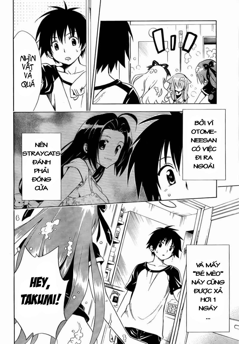 Mayoi Neko Overrun! Chapter 7 - Trang 2