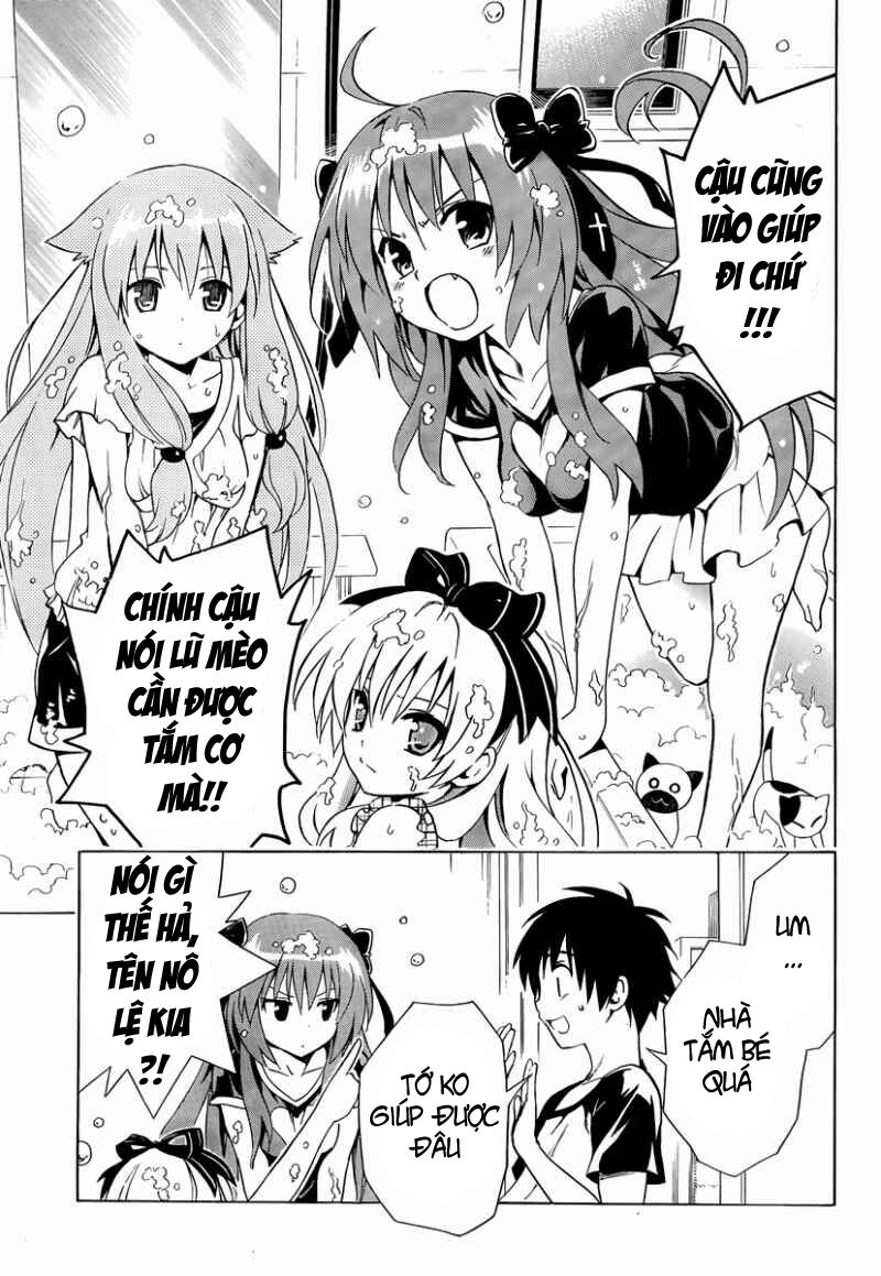 Mayoi Neko Overrun! Chapter 7 - Trang 2