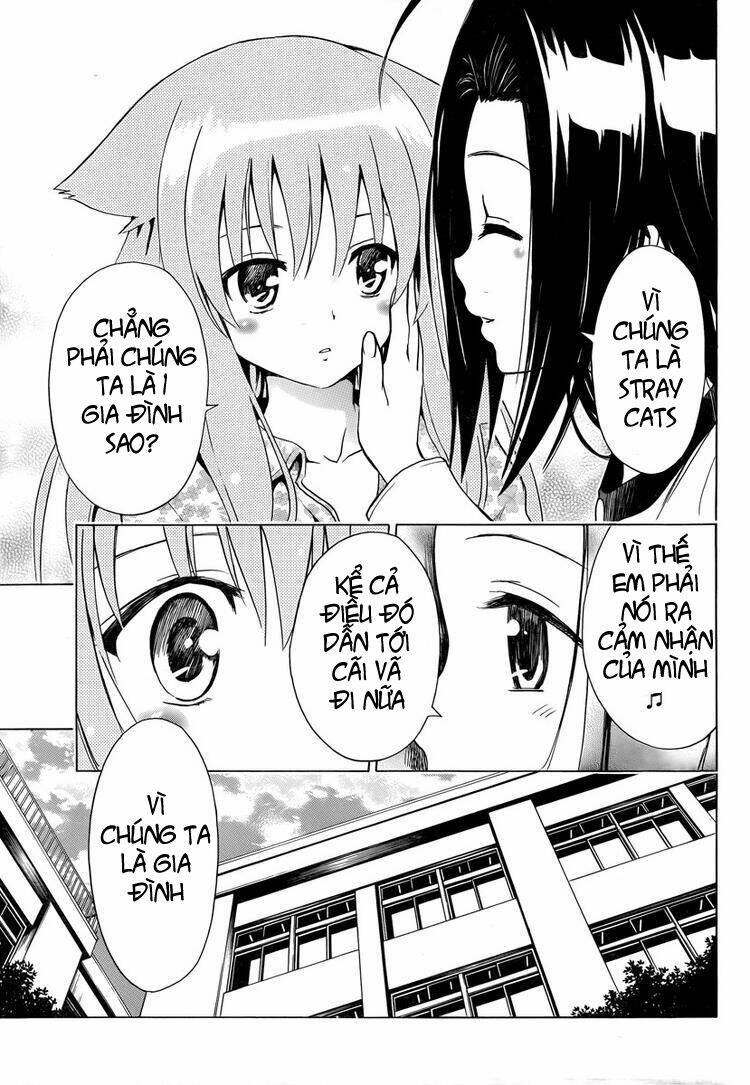 Mayoi Neko Overrun! Chapter 6 - Trang 2