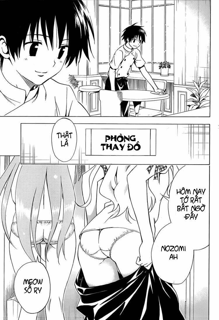 Mayoi Neko Overrun! Chapter 6 - Trang 2