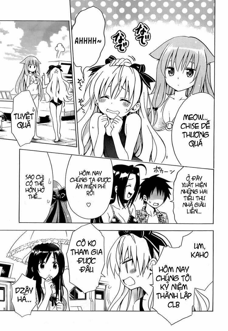 Mayoi Neko Overrun! Chapter 5 - Trang 2