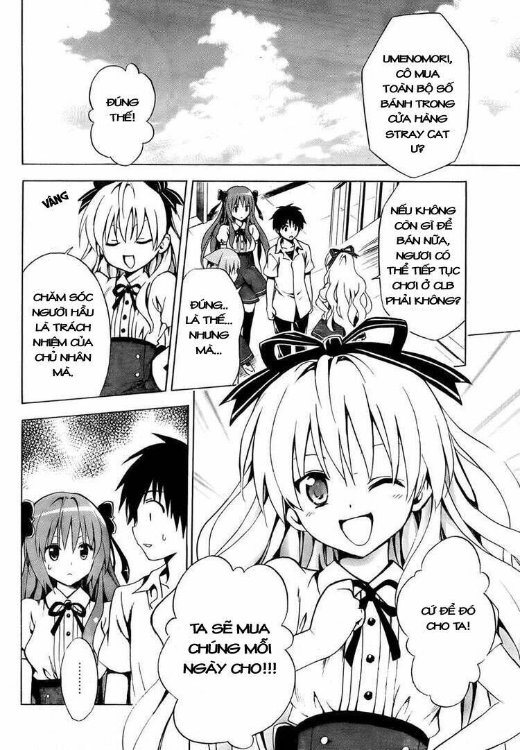 Mayoi Neko Overrun! Chapter 3 - Trang 2