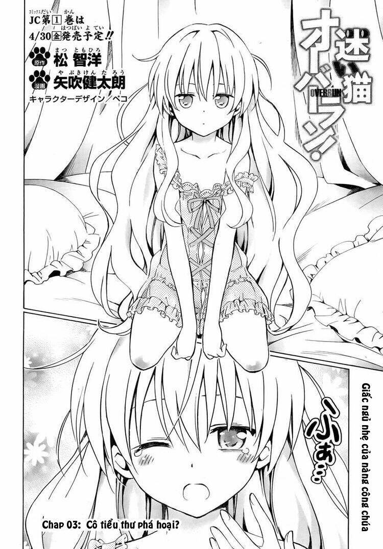 Mayoi Neko Overrun! Chapter 3 - Trang 2