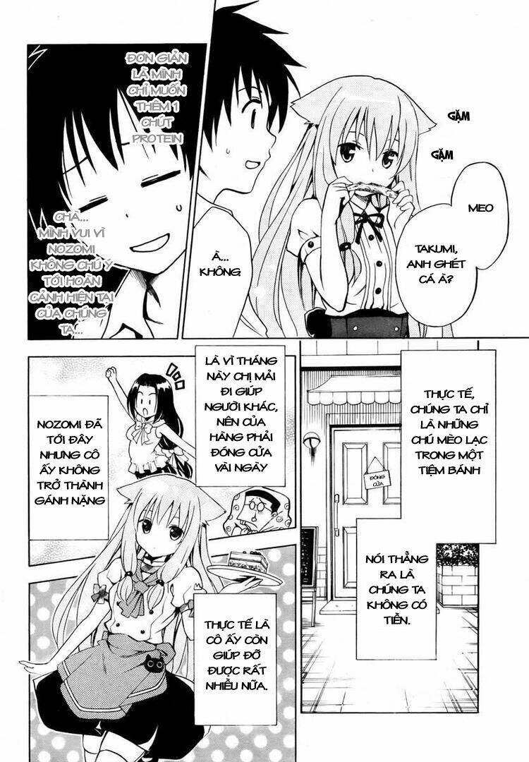 Mayoi Neko Overrun! Chapter 3 - Trang 2