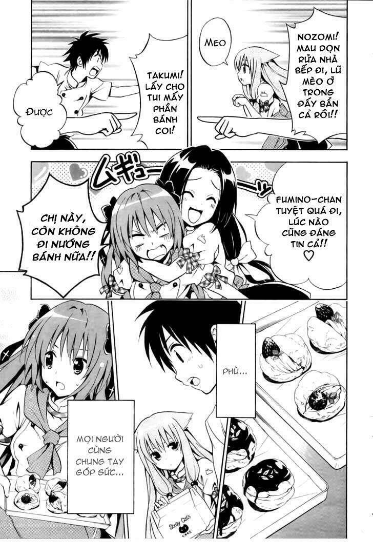 Mayoi Neko Overrun! Chapter 2 - Trang 2