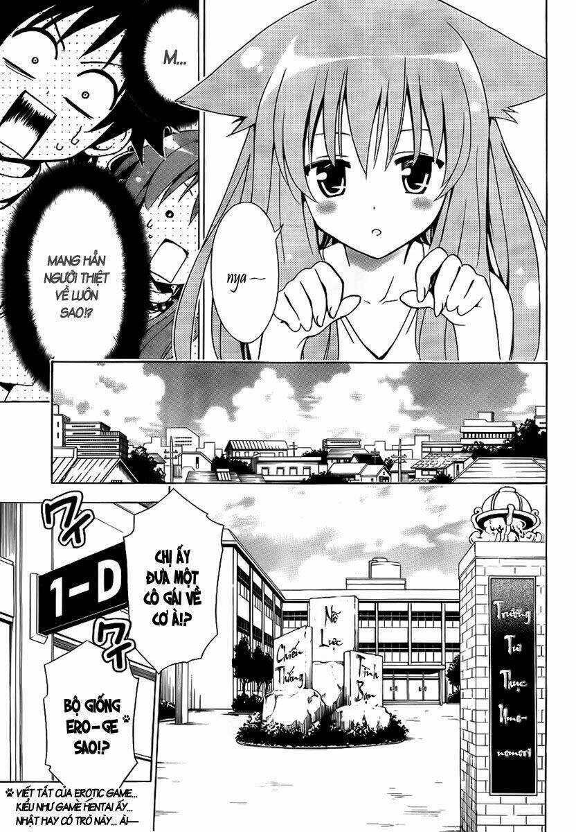 Mayoi Neko Overrun! Chapter 1 - Trang 2