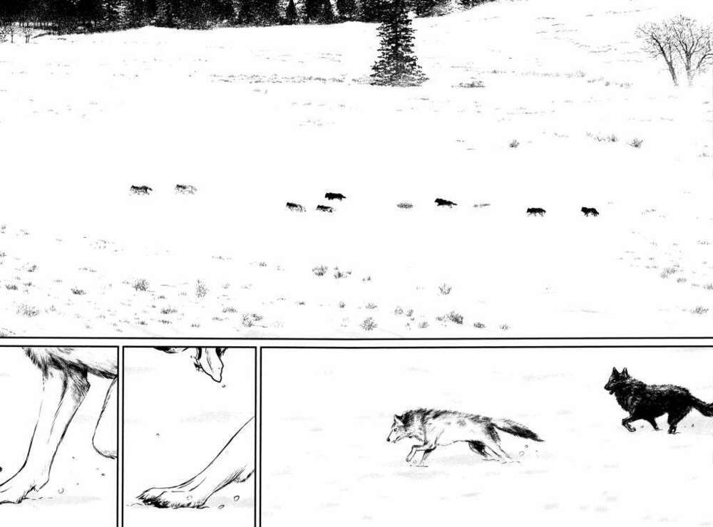 Wolf Guy – Wolfen Crest Chapter 115 - Trang 2