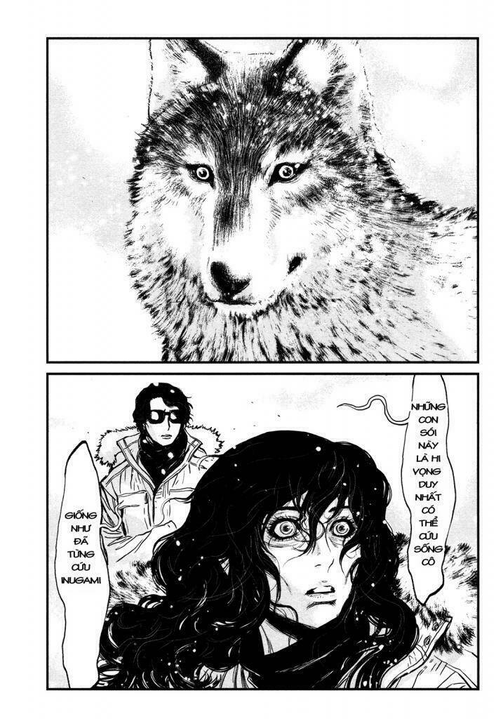 Wolf Guy – Wolfen Crest Chapter 115 - Trang 2