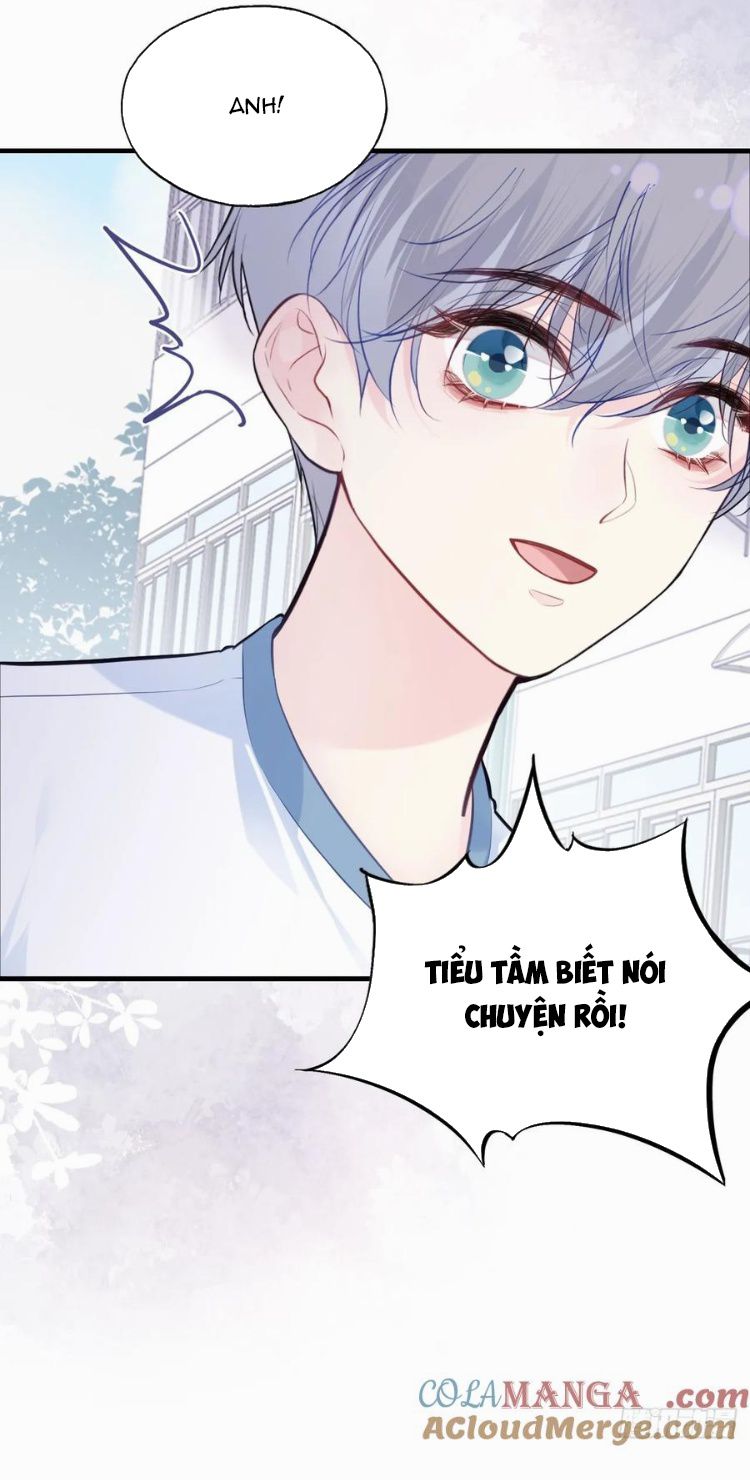 Anh Ấy Chưa Từng Rơi Xuống Chapter 89 - Trang 2