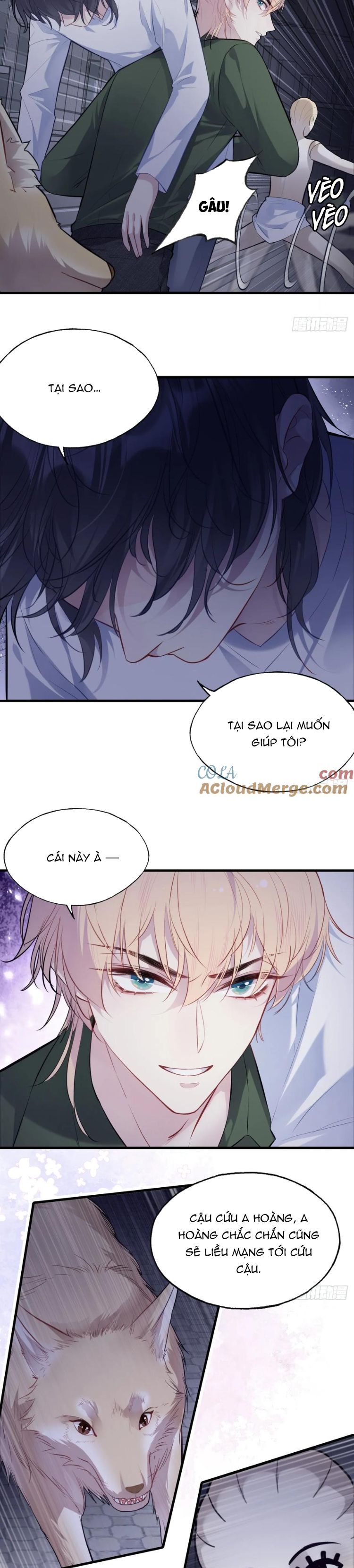 Anh Ấy Chưa Từng Rơi Xuống Chapter 82 - Trang 2