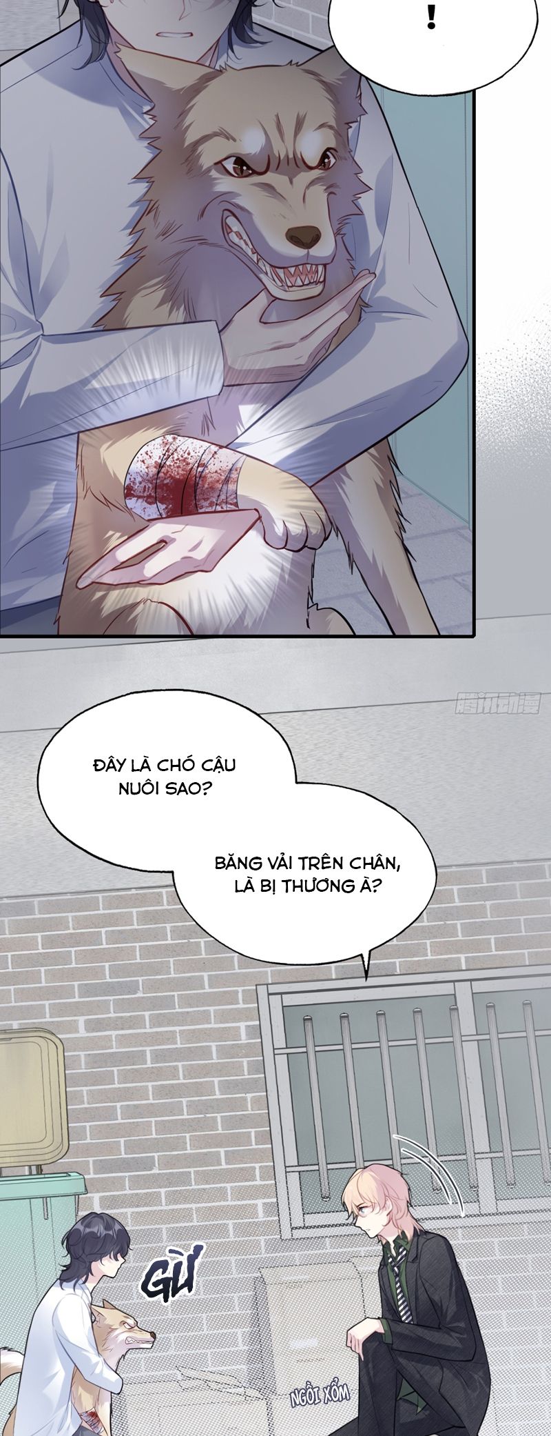 Anh Ấy Chưa Từng Rơi Xuống Chapter 78 - Trang 2