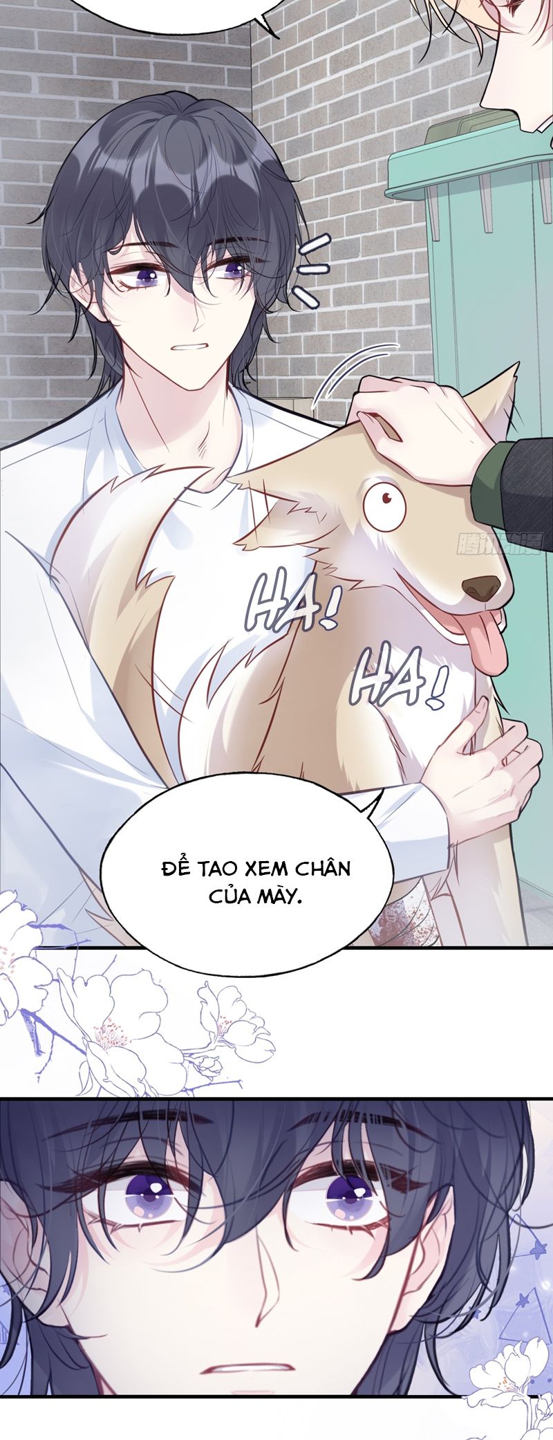 Anh Ấy Chưa Từng Rơi Xuống Chapter 78 - Trang 2