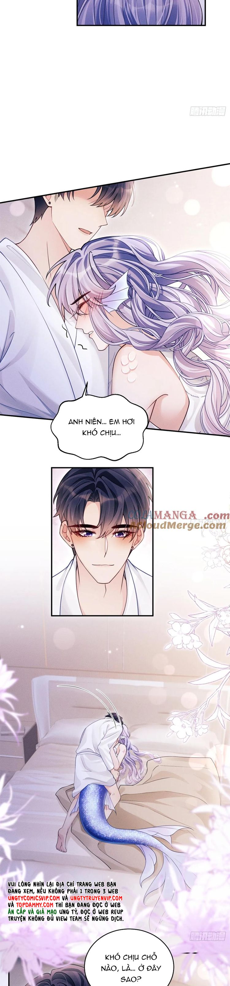 Tôi Hoài Nghi Ảnh Đế Đang Theo Đuổi Tôi Chapter 144 - Trang 2