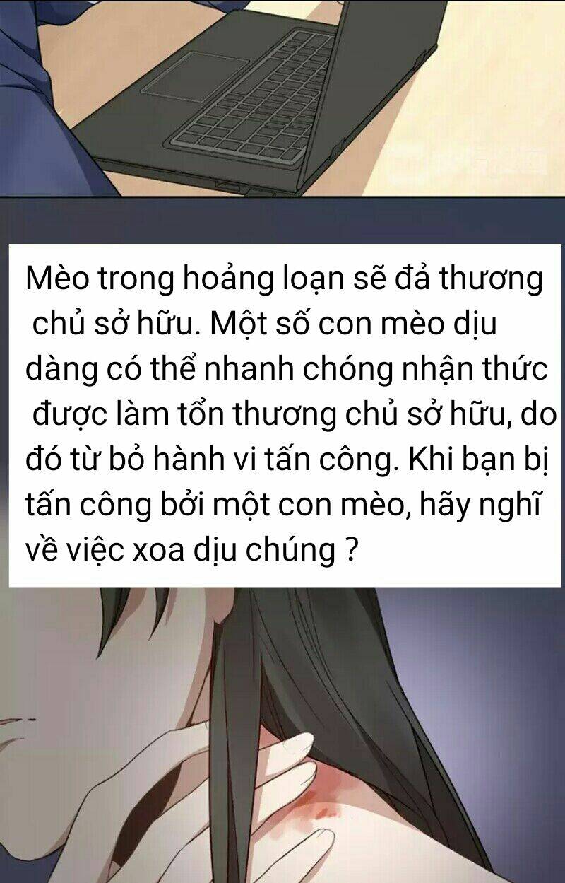 Bạn Trai Mèo Chapter 8 - Trang 2