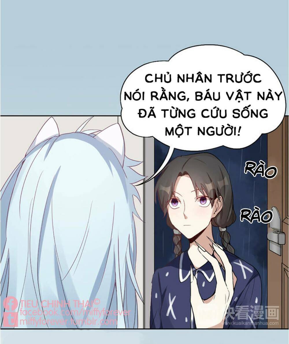 Bạn Trai Mèo Chapter 4 - Trang 2