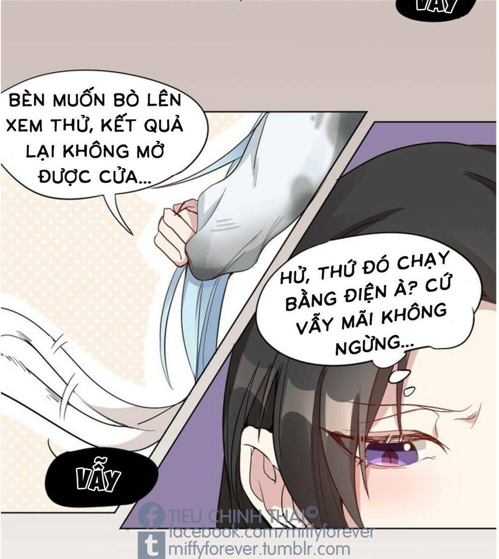 Bạn Trai Mèo Chapter 2 - Trang 2