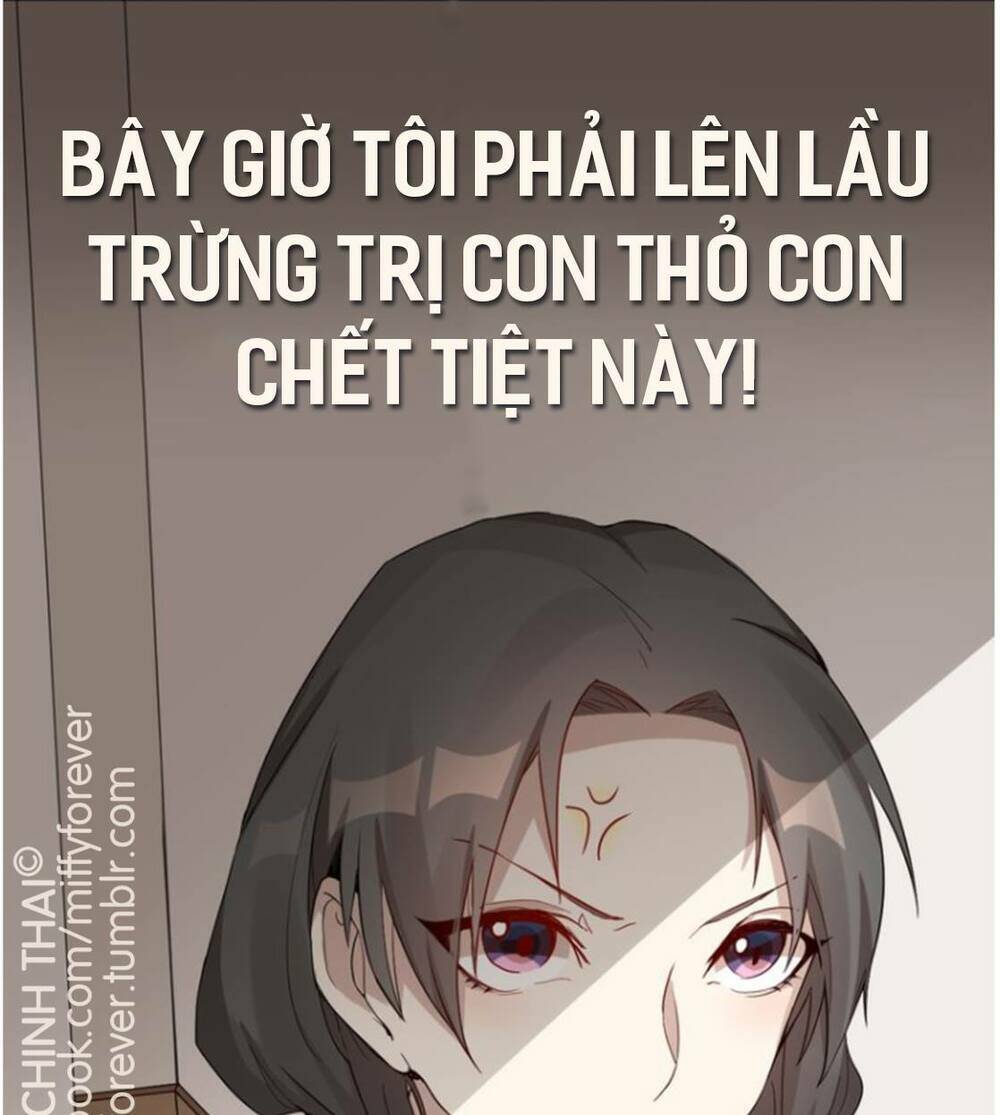 Bạn Trai Mèo Chapter 1 - Trang 2