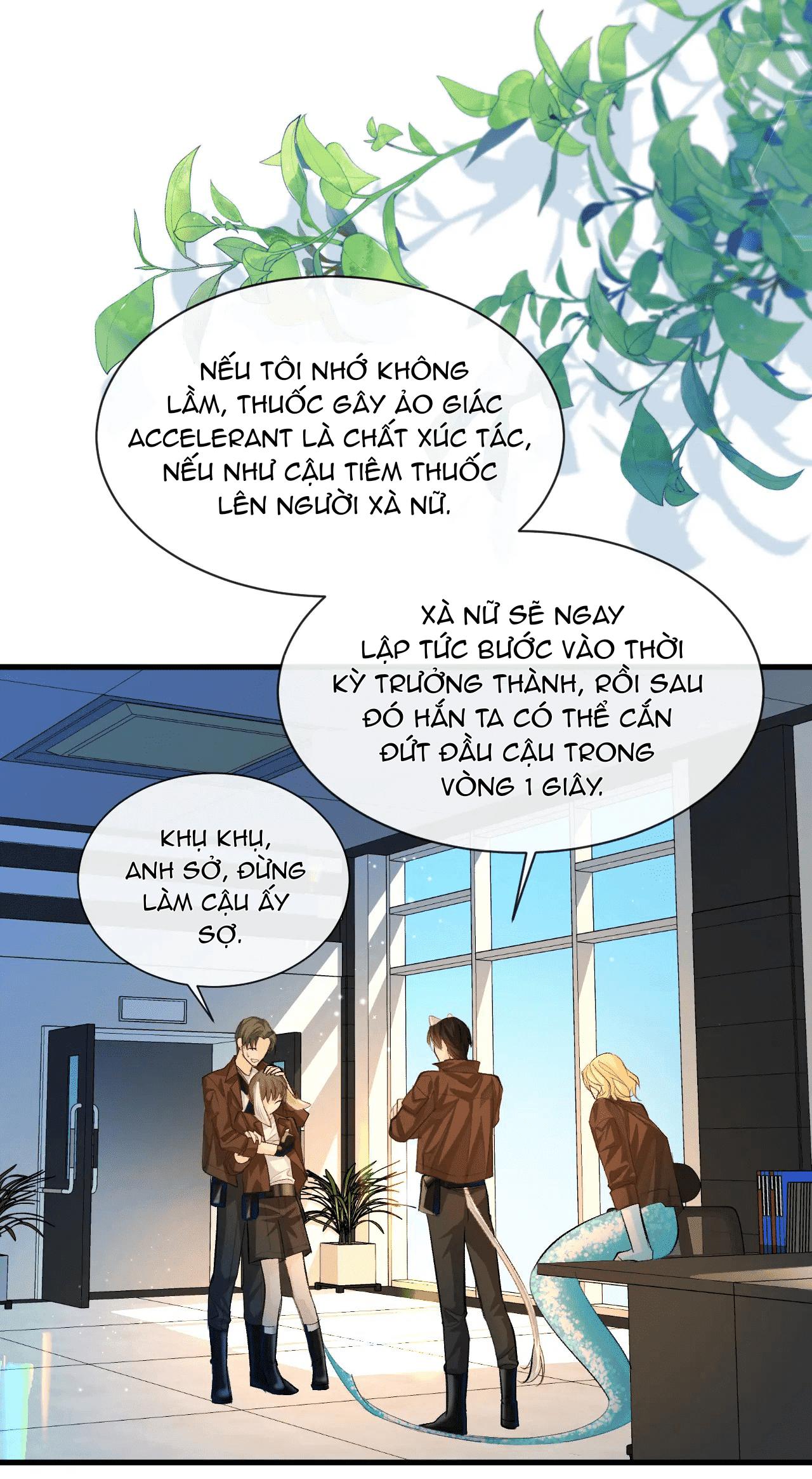 Nhân Ngư Sa Ngã Chapter 17 - Trang 2