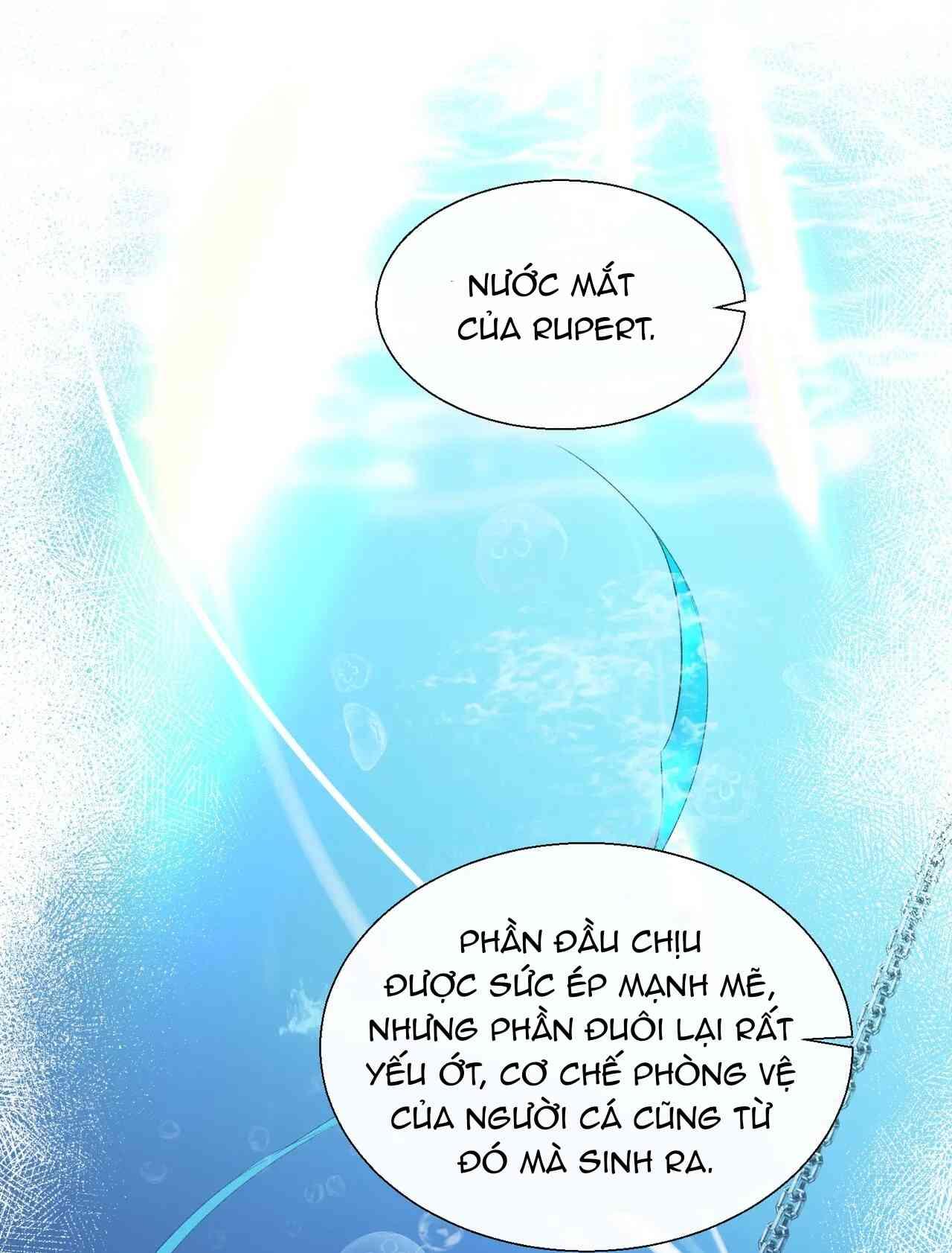 Nhân Ngư Sa Ngã Chapter 9 - Trang 2