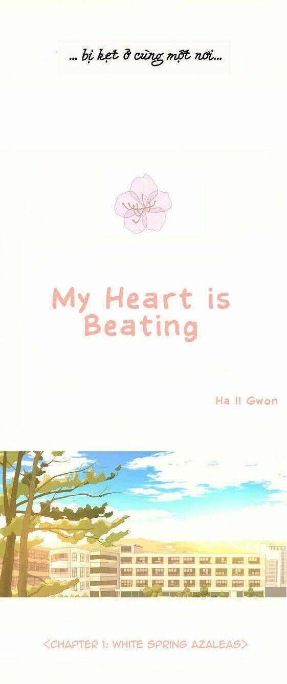 My Heart Is Beating Chapter 1 - Trang 2