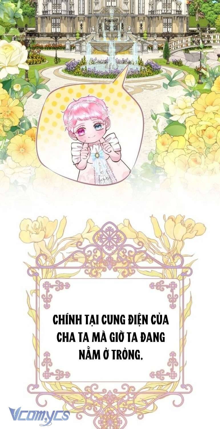 Sau Này Họ Sẽ Sinh Ra Tôi Chapter 3 - Trang 2