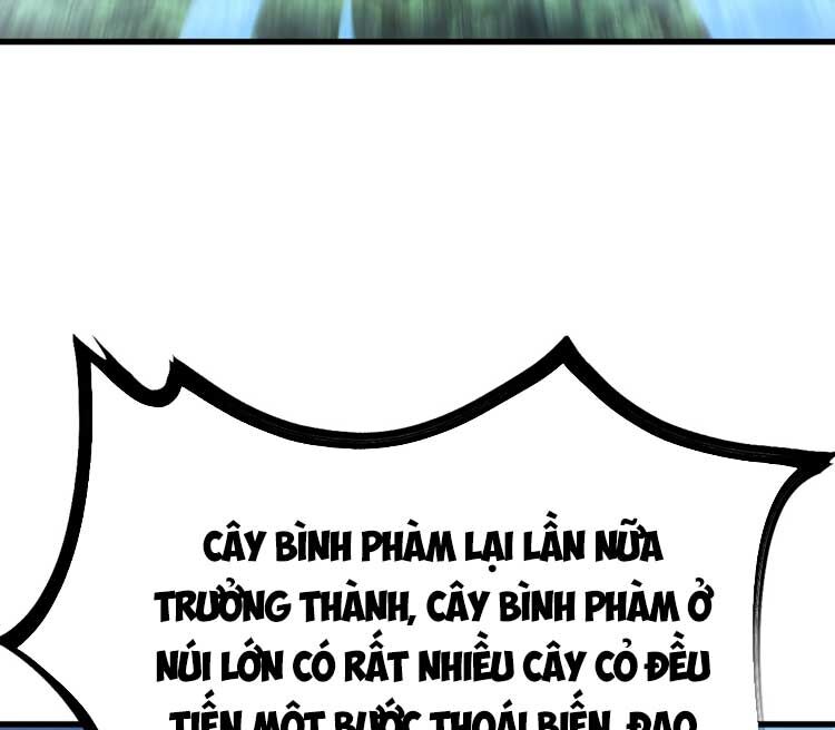 Ta Ở Nhà 100 Năm Khi Ra Ngoài Đã Vô Địch Chapter 124 - Trang 2