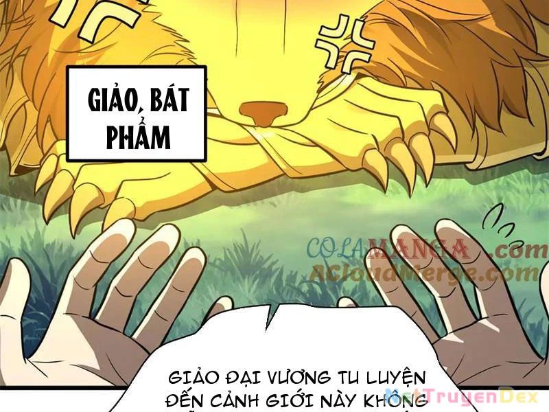 Toàn Cầu Cao Võ Chapter 291 - Trang 2