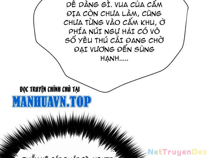 Toàn Cầu Cao Võ Chapter 291 - Trang 2