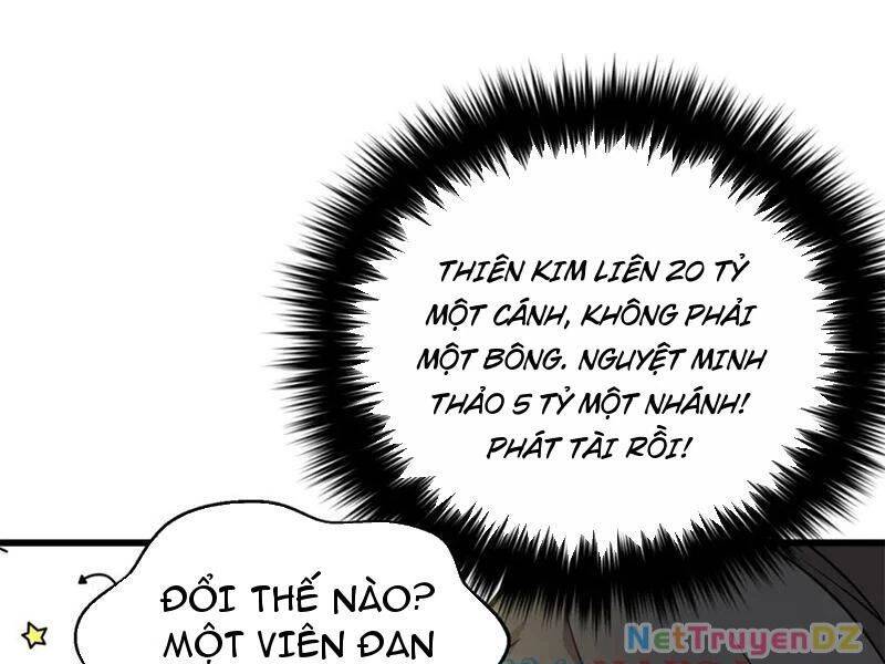 Toàn Cầu Cao Võ Chapter 290 - Trang 2