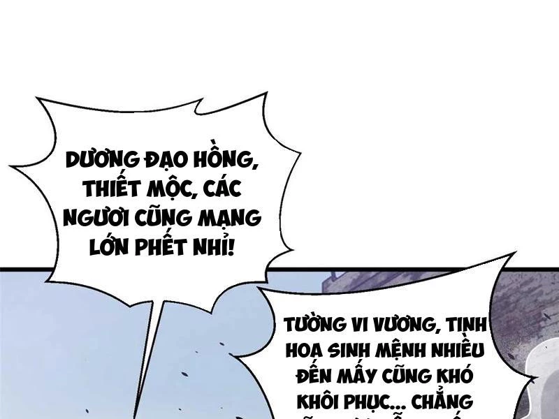 Toàn Cầu Cao Võ Chapter 266 - Trang 2