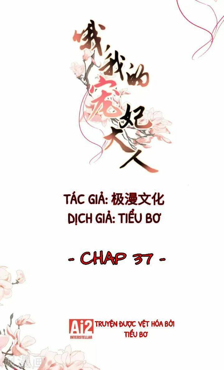 Ồ, Phu Quân Đáng Yêu Của Tôi! Chapter 37 - Trang 2