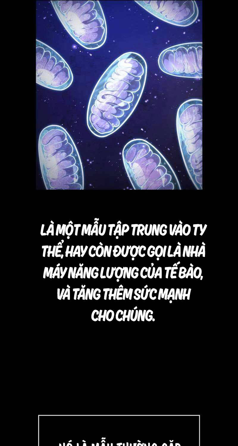 Đại Pháp Sư Toàn Năng Chapter 76 - Trang 2