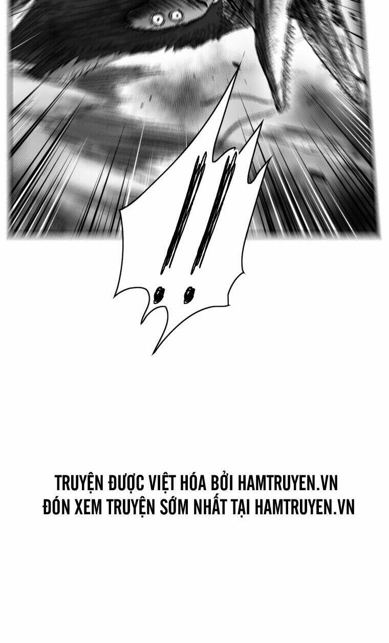 Cơn Bão Đỏ Chapter 251 - Trang 2