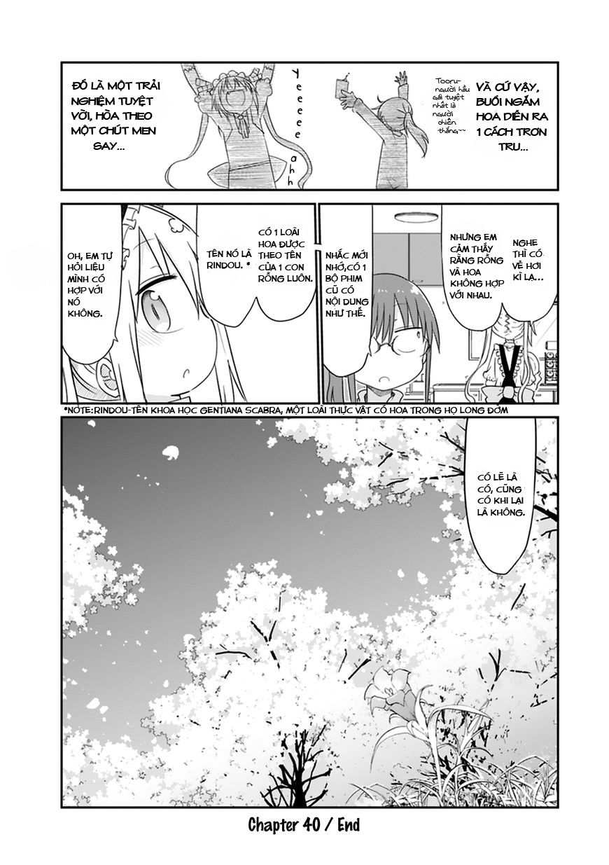 The Maid Dragon Of Kobayashi Chapter 40 - Trang 2