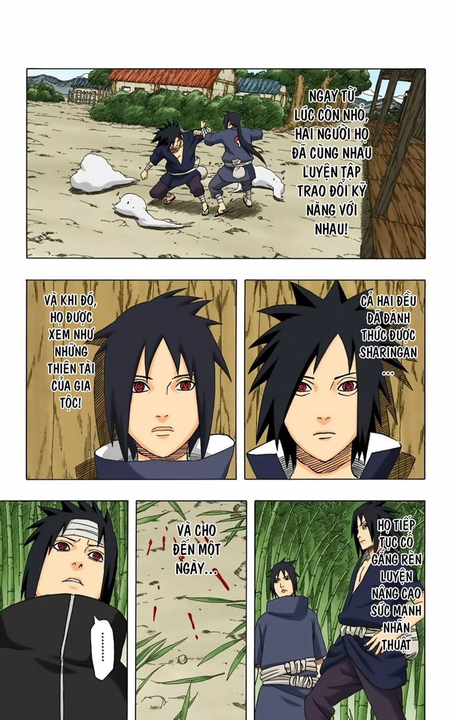 Naruto Full Màu Chapter 386 - Trang 2